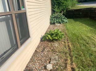 Weeding by Joseph Taylor for Karl M. in Indianapolis, IN
