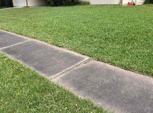 Susan B.'s Lawn Mowing service result
