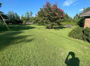 Kevin C.'s Lawn Mowing service result