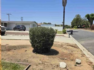 Bush Trimming by Ricky Garcia for Anthony G. in Moreno Valley, CA