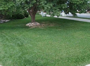 Jeffrey D.'s Lawn Service service result