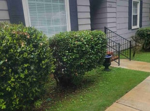 Bush Trimming by Montereous Collier for Phyllis G. in Huntsville, AL