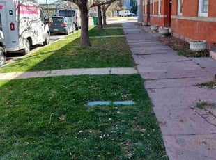 Leaf Removal by Trent Young for Andrew M. in Denver, CO