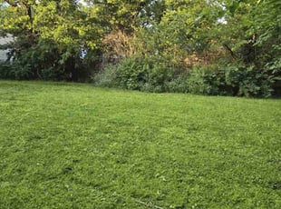 Tina W.'s Lawn Care service result