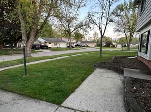 Courtney S.'s Lawn Service service result
