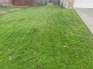 Michael H.'s Lawn Mowing Service service result