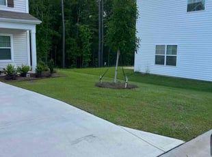 Mike R.'s Lawn Maintenance service result