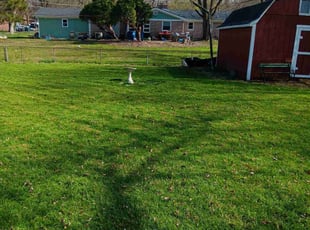 Richard R.'s Lawn Service service result
