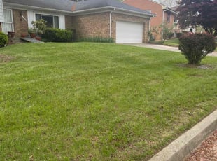 Michael M.'s Lawn Service service result