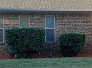 Bush Trimming by Leray Thornton for Joyce C. in Oklahoma City, OK