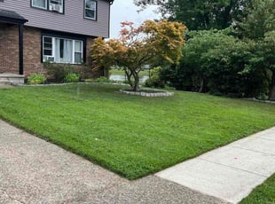 Tamme U.'s Yard Cutting service result