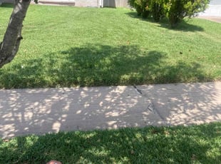 Sue B.'s Lawn Care service result