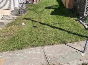 Meredith C.'s Lawn Maintenance service result