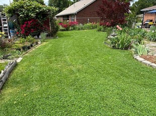 Jason P.'s Lawn Care service result