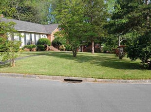 Doh K.'s Lawn Mowing service result