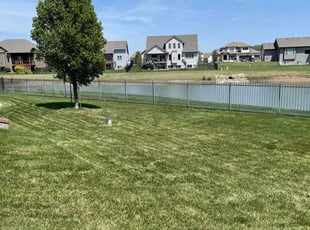 Tamila C.'s Lawn Mowing service result