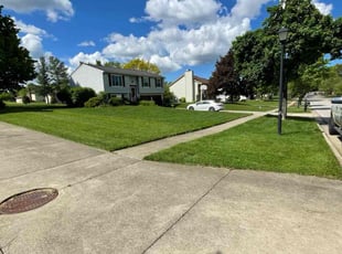Karlene D.'s Lawn Mowing service result
