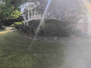 Bush Trimming by Jesse Blackshear for Derick P. in Mableton, GA