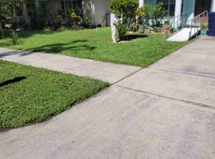 Elspeth H.'s Lawn Mowing service result