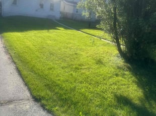 Burt S.'s Lawn Mowing service result