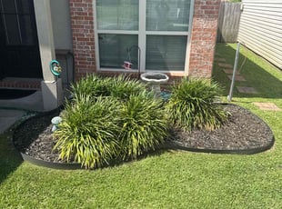 Weeding by Darynnette Roldan for Kirstie B. in Denham Springs, LA