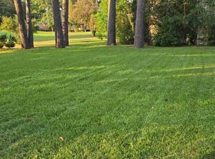 Ranabir D.'s Lawn Service service result
