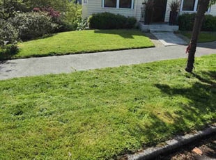 Anthony S.'s Lawn Service service result