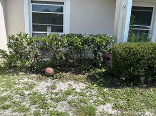 Bush Trimming by Vishall Harricharan for Eddie R. in Deltona, FL