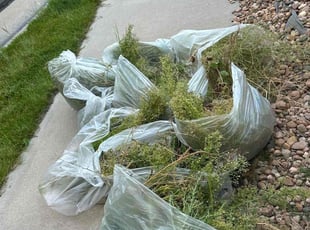 Cleanups by Justin Hands for Raghda A. in Aurora, CO