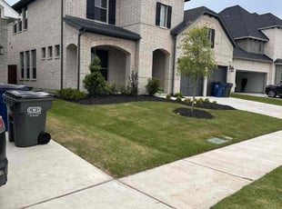 Bill B.'s Lawn Mowing service result