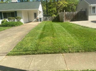 Monica W.'s Lawn Maintenance service result