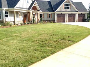 Jack P.'s Lawn Mowing service result