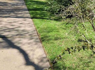 Michael D.'s Yard Cutting service result