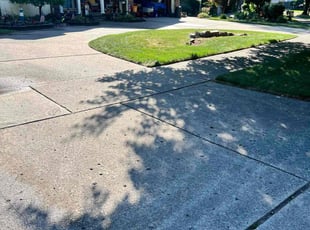 Melody A.'s Yard Cutting service result