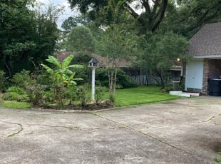 Colin L.'s Lawn Care service result