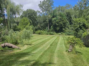 Ray T.'s Lawn Service service result