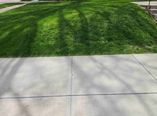 Heather M.'s Lawn Care service result