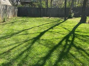 Jordan C.'s Lawn Care service result