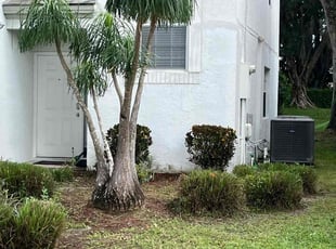 Bush Trimming by Zachary Wolf for Courtney P. in Boca Raton, FL