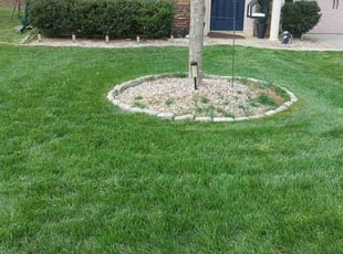 Evan K.'s Lawn Service service result