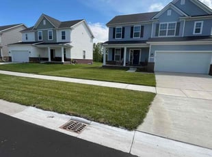 Elana H.'s Lawn Maintenance service result