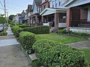 Bush Trimming by Brandon Morris for Nancy A. in Pittsburgh, PA