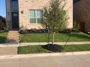 Llewellyn H.'s Yard Cutting service result