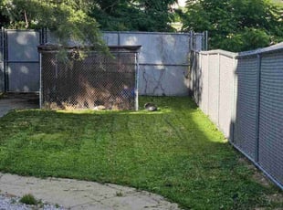 Aksana R.'s Lawn Maintenance service result