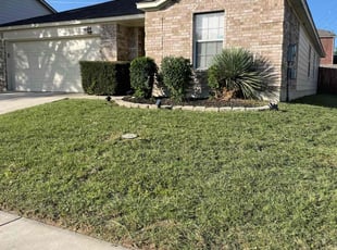 Bush Trimming by Daniel Mora for Ronald H. in Schertz, TX