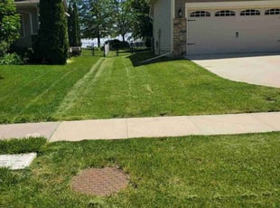 Glenn S.'s Grass Cutting service result