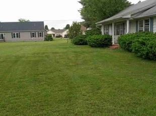 Connie P.'s Lawn Mowing Service service result