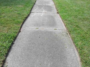 Dawn Z.'s Lawn Service service result