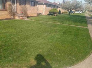 Anthony W.'s Lawn Service service result