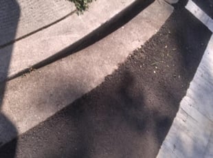 Leaf Removal by Kunle Okubena for Jackie R. in Washington, DC